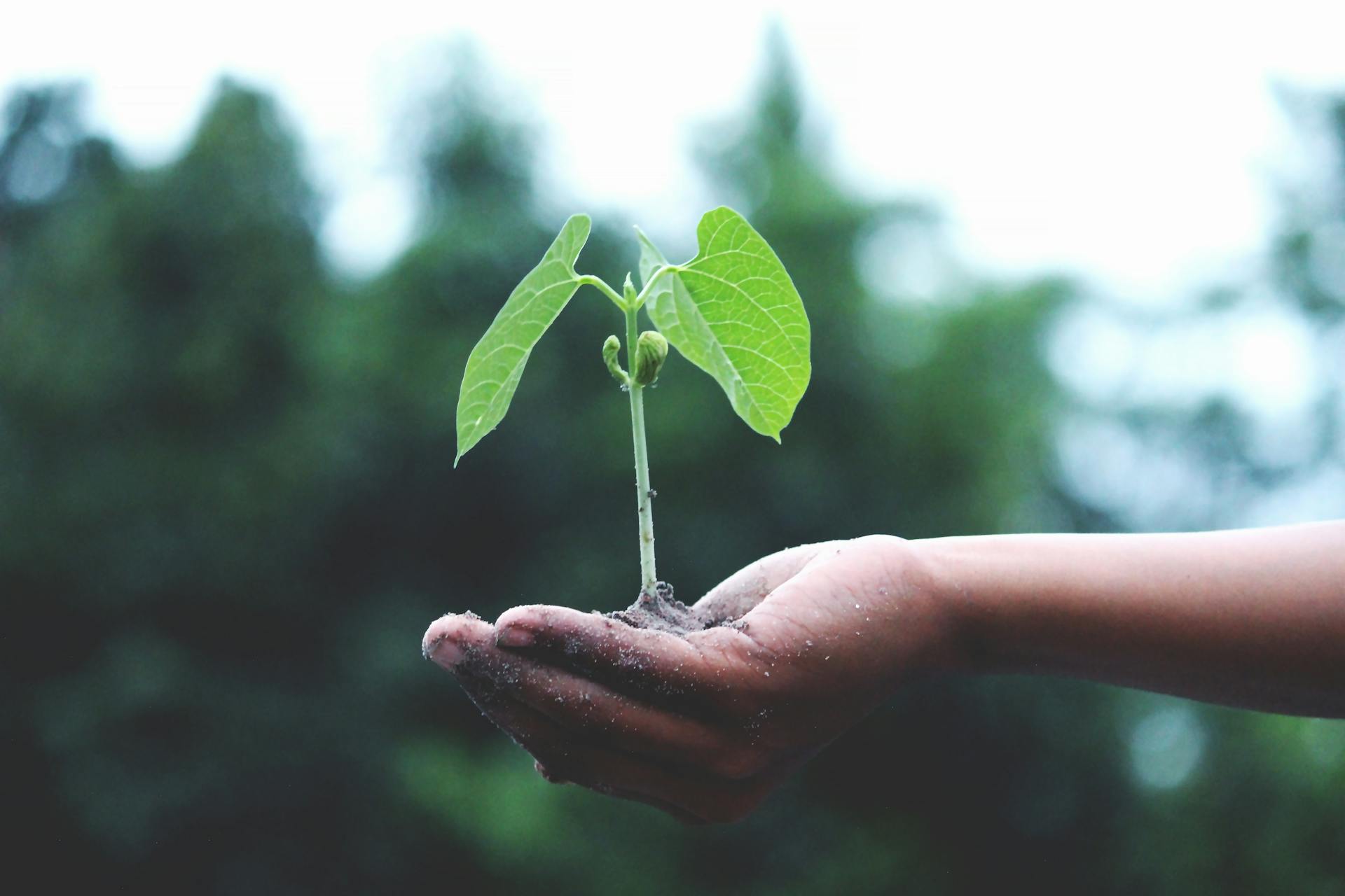 Sustainability Tracking
